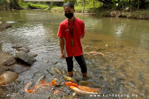 Fishes at Bombon Marakau