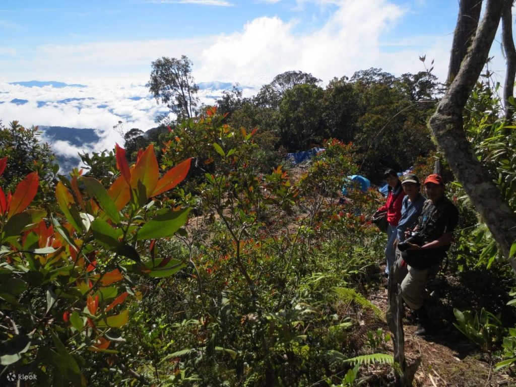 Experience a jungle expedition-slash-camping adventure when you book this tour!