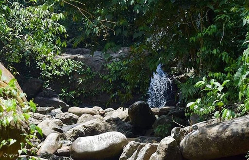 Experience trekking across rock boulders, creeks, rivers, and waterfalls as you venture deep into the forest